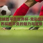 竞彩足球胜平负世界杯-竞彩足球，世界杯胜平负的魅力与策略