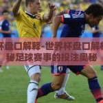世界杯盘口解释-世界杯盘口解析，揭秘足球赛事的投注奥秘