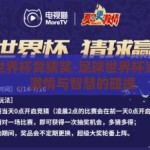 足球世界杯竞猜奖-足球世界杯竞猜奖，激情与智慧的碰撞