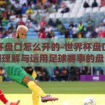世界杯盘口怎么开的-世界杯盘口解析，如何理解与运用足球赛事的盘口开法