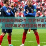 世界杯赔率预测软件-世界杯赔率预测，科技与足球的激情碰撞