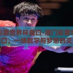 澳门彩票世界杯盘口-澳门彩票世界杯盘口，一场数字与梦想的交织