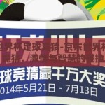 京东世界杯足球竞猜-京东世界杯足球竞猜，激情与智慧的碰撞