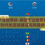 微信下注世界杯-微信下注世界杯，一场数字时代的足球盛宴与风险并行的冒险