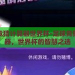 足球竞猜计算器世界杯-足球竞猜计算器，世界杯的智慧之选