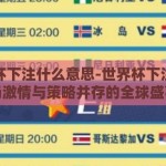 世界杯下注什么意思-世界杯下注，一场激情与策略并存的全球盛事