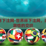 世界杯下注网-世界杯下注网，理性与激情的交织