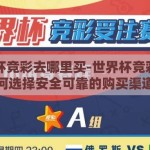 世界杯竞彩去哪里买-世界杯竞彩，如何选择安全可靠的购买渠道