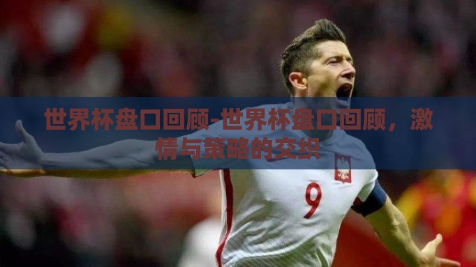 世界杯盘口回顾-世界杯盘口回顾,激情与策略的交织 世界杯盘口回顾-世界杯盘口回顾,激情与策略的交织
