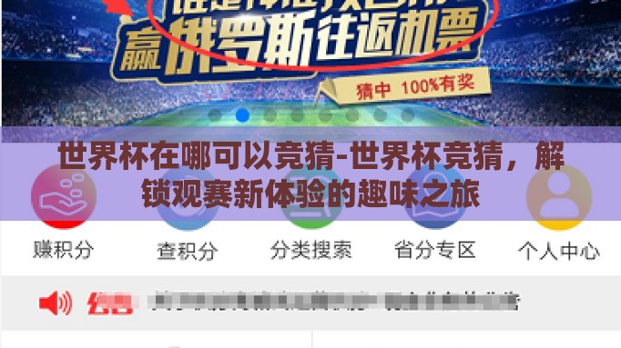 世界杯在哪可以竞猜-世界杯竞猜，解锁观赛新体验的趣味之旅