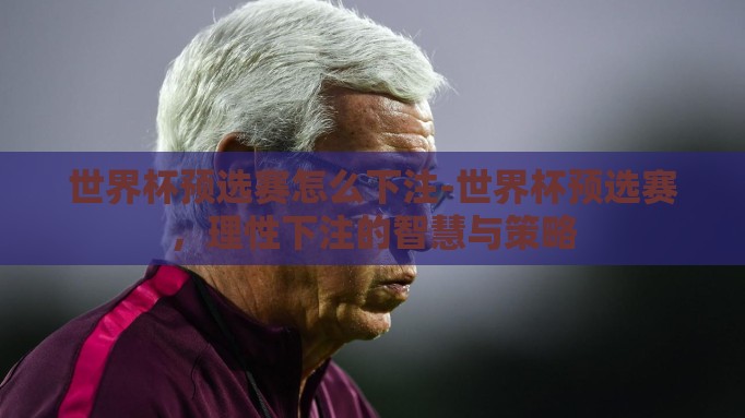 世界杯预选赛怎么下注-世界杯预选赛,理性下注的智慧与策略 世界杯预选赛怎么下注-世界杯预选赛,理性下注的智慧与策略