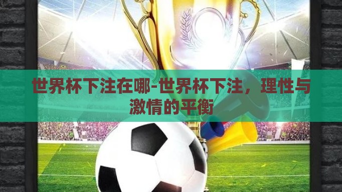 世界杯下注在哪-世界杯下注，理性与激情的平衡