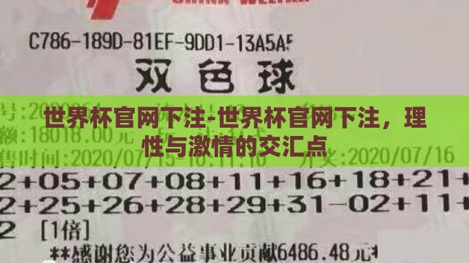 世界杯官网下注-世界杯官网下注，理性与激情的交汇点