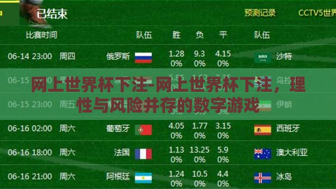 网上世界杯下注-网上世界杯下注，理性与风险并存的数字游戏