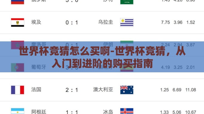世界杯竞猜怎么买啊-世界杯竞猜，从入门到进阶的购买指南