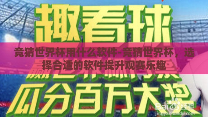 竞猜世界杯用什么软件-竞猜世界杯，选择合适的软件提升观赛乐趣