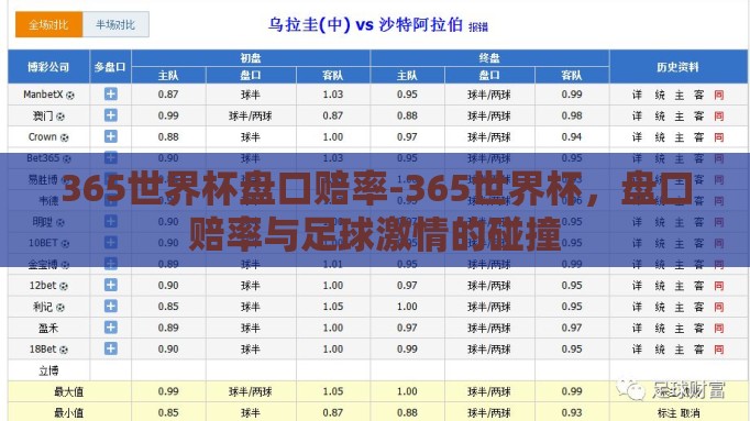 365世界杯盘口赔率-365世界杯，盘口赔率与足球激情的碰撞