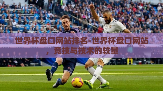 世界杯盘口网站排名-世界杯盘口网站，竞技与技术的较量