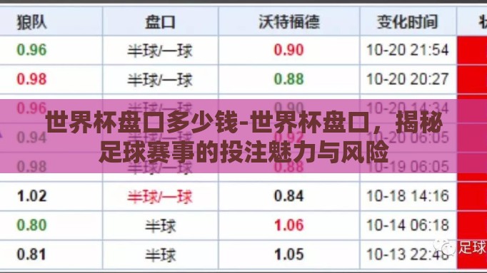 世界杯盘口多少钱-世界杯盘口，揭秘足球赛事的投注魅力与风险