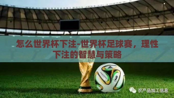 怎么世界杯下注-世界杯足球赛，理性下注的智慧与策略