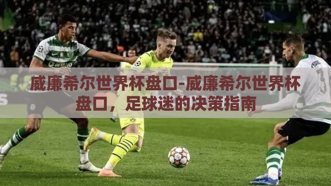 威廉希尔世界杯盘口-威廉希尔世界杯盘口，足球迷的决策指南