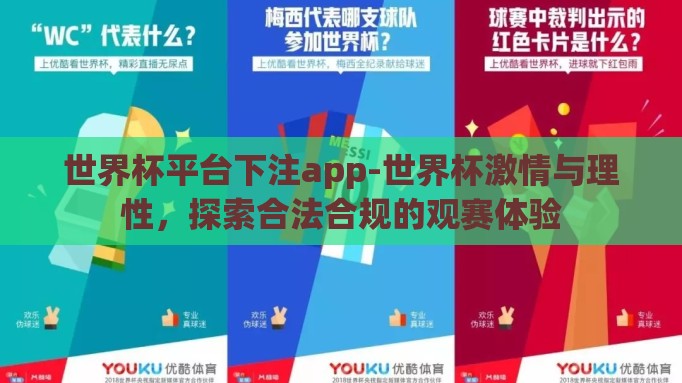 世界杯平台下注app-世界杯激情与理性,探索合法合规的观赛体验 世界杯平台下注app-世界杯激情与理性,探索合法合规的观赛体验