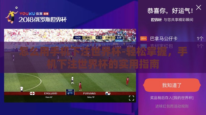 怎么用手机下注世界杯-轻松掌握，手机下注世界杯的实用指南