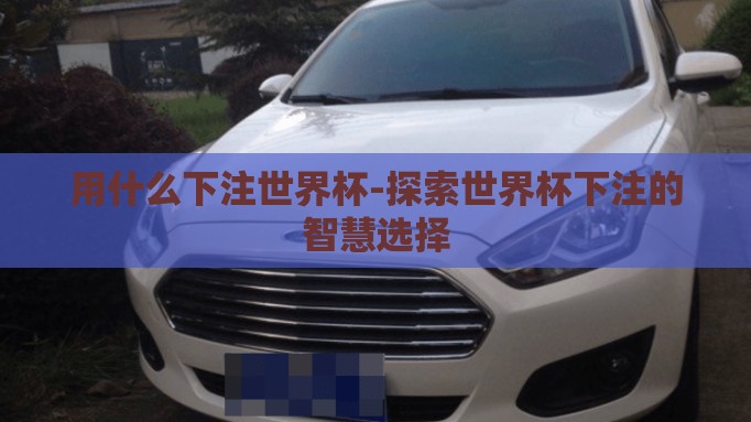 用什么下注世界杯-探索世界杯下注的智慧选择 用什么下注世界杯-探索世界杯下注的智慧选择
