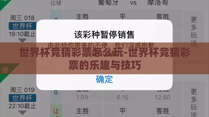 世界杯竞猜彩票怎么玩-世界杯竞猜彩票的乐趣与技巧