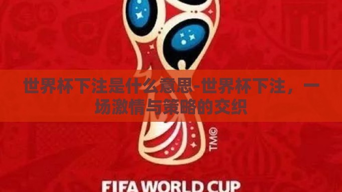世界杯下注是什么意思-世界杯下注，一场激情与策略的交织