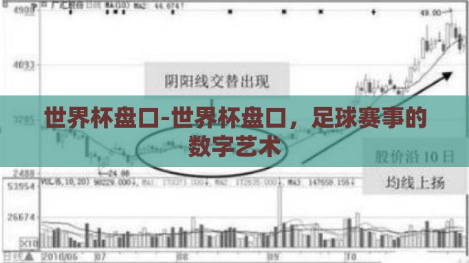 世界杯盘口-世界杯盘口，足球赛事的数字艺术