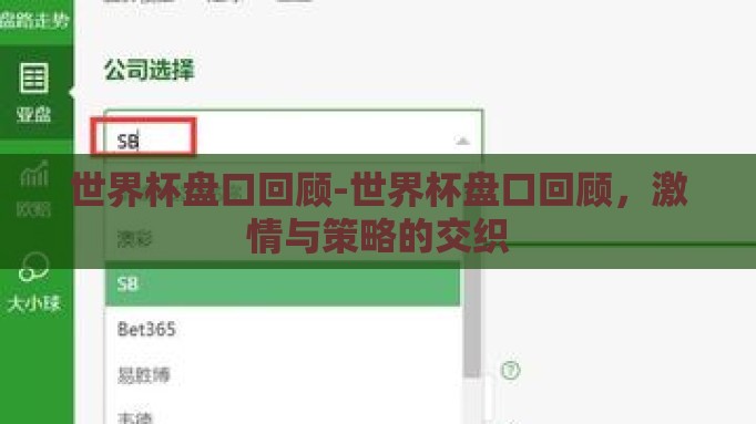 世界杯盘口回顾-世界杯盘口回顾，激情与策略的交织