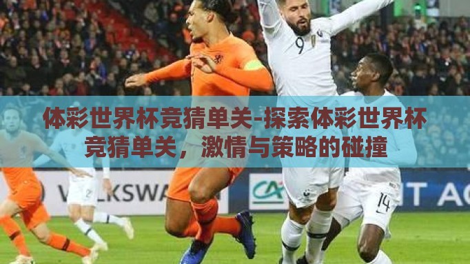 体彩世界杯竞猜单关-探索体彩世界杯竞猜单关，激情与策略的碰撞