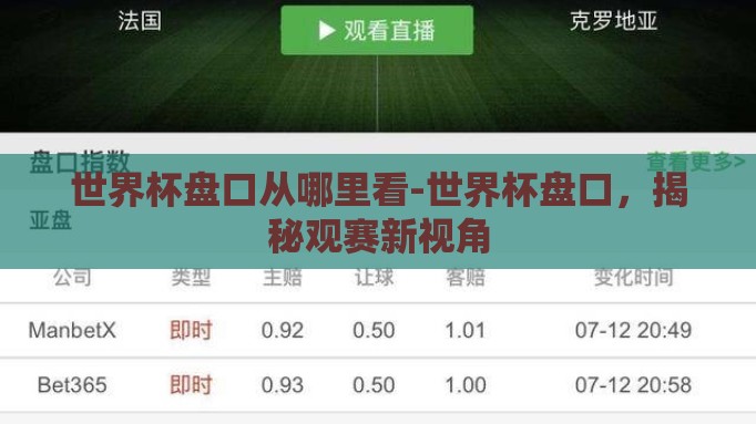 世界杯盘口从哪里看-世界杯盘口，揭秘观赛新视角