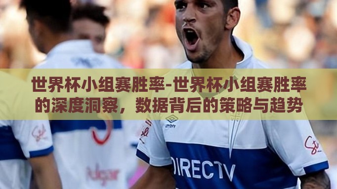 世界杯小组赛胜率-世界杯小组赛胜率的深度洞察，数据背后的策略与趋势