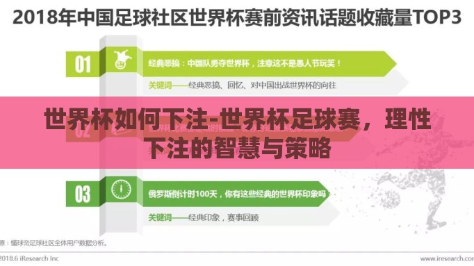 世界杯如何下注-世界杯足球赛，理性下注的智慧与策略